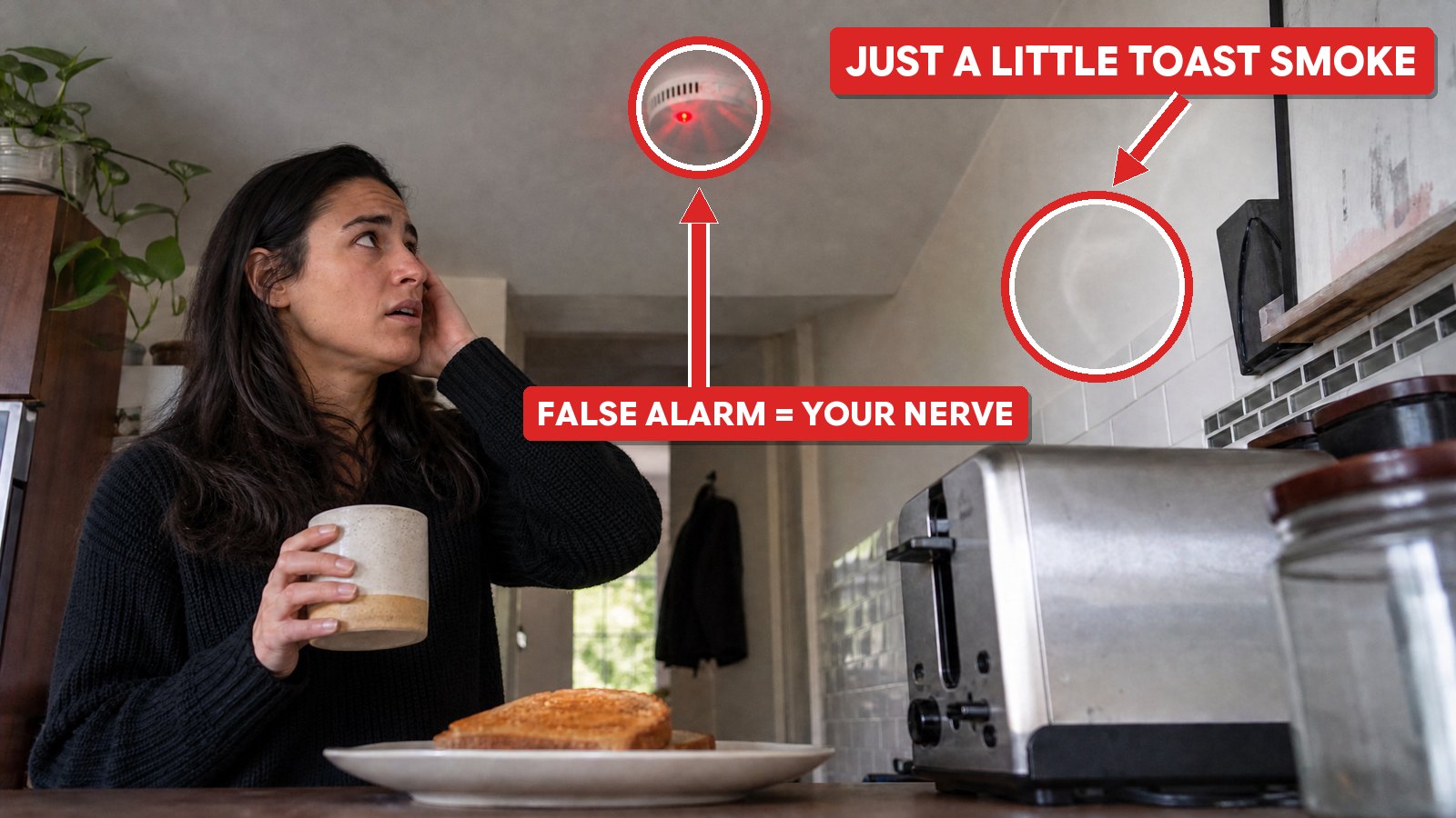 The smoke alarm screams, she looks up: just a little toast smoke